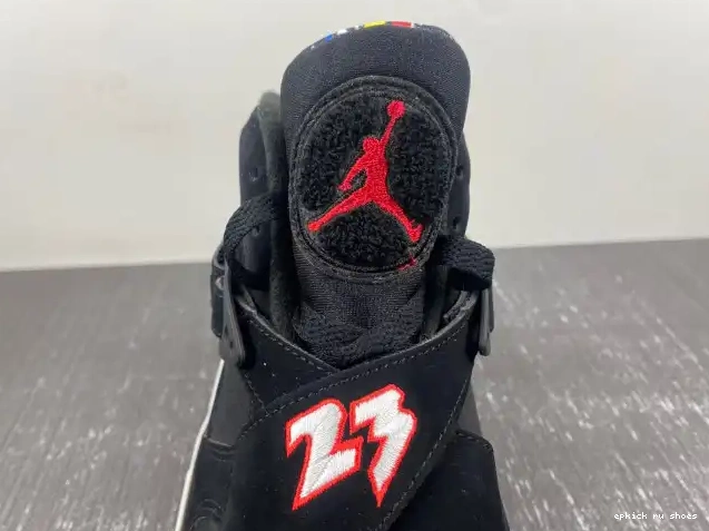 Rep 8 Playoffs Air Jordan 305381-062 0505